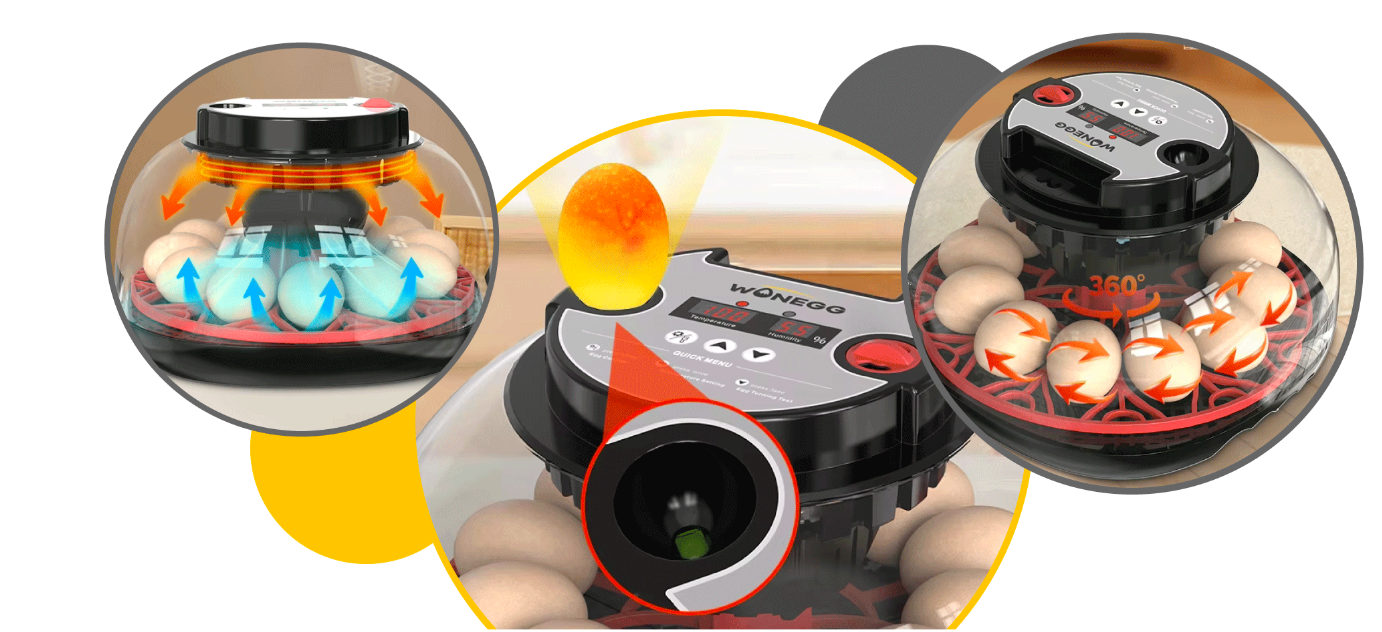 Snímka obrazovky 2026-01-28 o 18.51.16